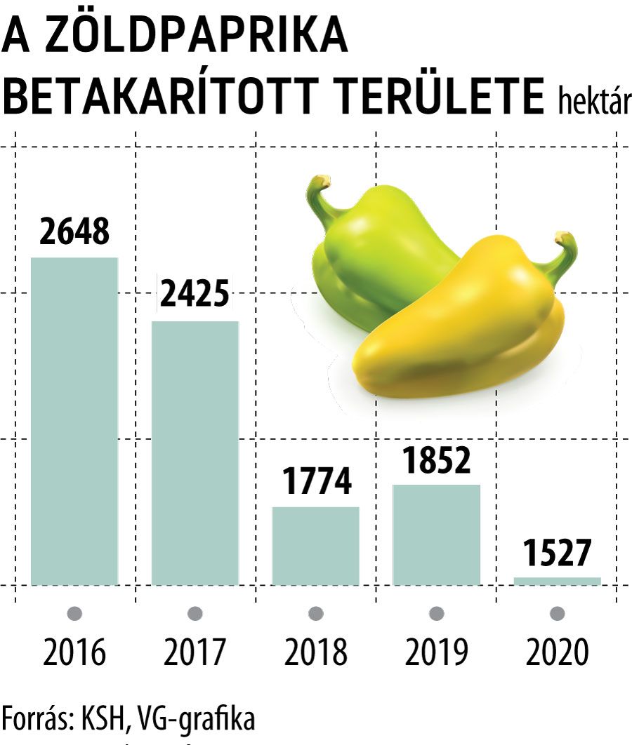 Ennyivel vehett nk olcs bban id n tv paprik t mint tavaly