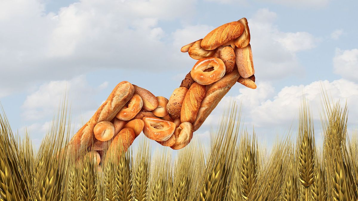 globális Global gabona Wheat Flour Market increase áremelkedés drágulás and rising bread kenyér cost or grocery prices surging costs of baked pékáru goods as an inflation infláció concept with an increasing price arrow with 3D illustration elements.