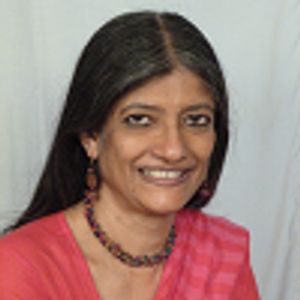 Jayati Ghosh, az International Development Economics Associates ügyvezető titkára, a University of Massachusetts Amherst közgazdász professzora 