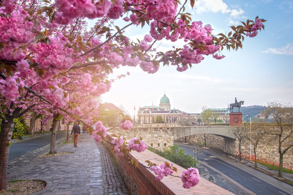 Beautiful,Spring,Cityscape,With,Buda,Castle,Royal,Palace,In,Buda
