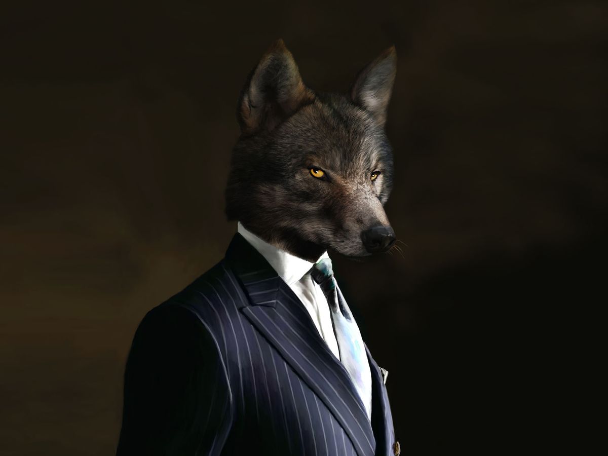 Business wolf dressed to kill.
