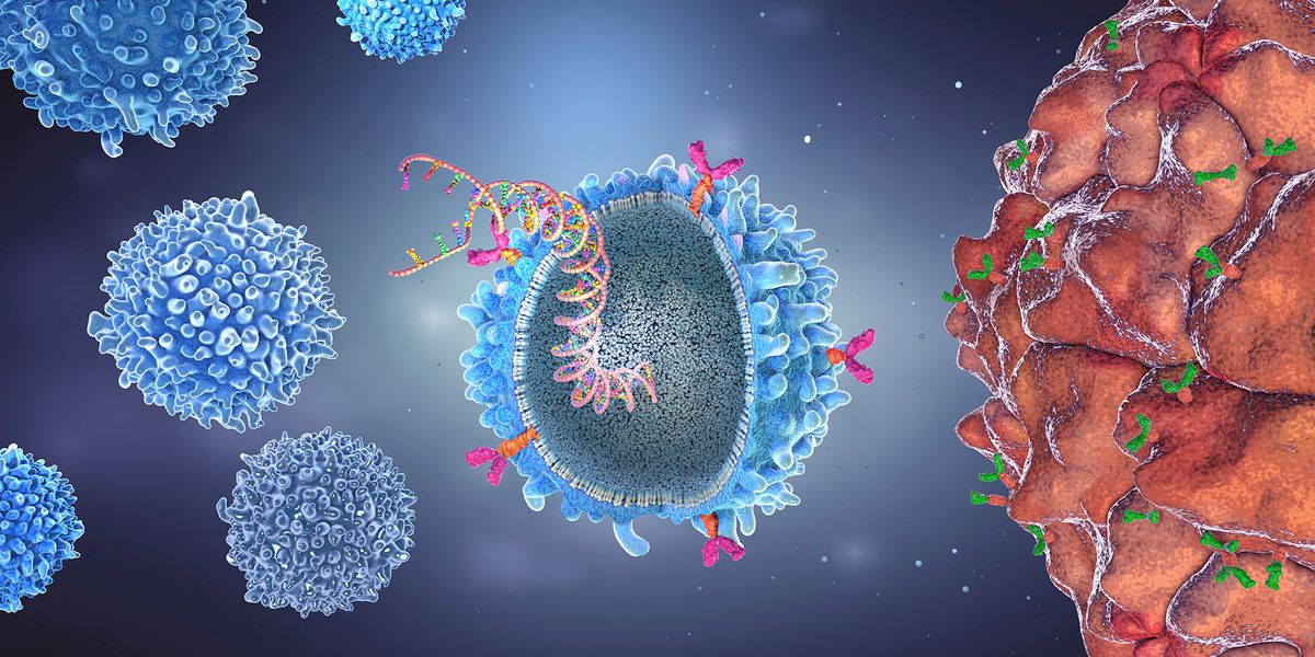 Illustration of CAR (chimeric antigen receptor) T cell with implanted gene strain. (Photo by CHRISTOPH BURGSTEDT/SCIENCE PHOT / CBR / Science Photo Library via AFP)
