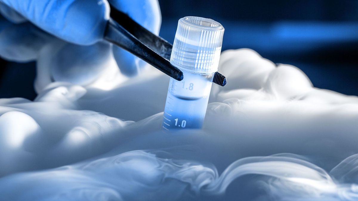 őssejt krio köldökzsinórvér cryostorage stem cell Tube in liquid nitrogen
