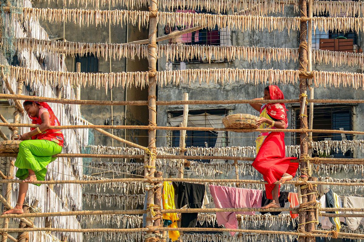 Fisher-women climb up on a scaffolding to hang Bombay duck fish to dry in the sun at the Versova beach in Mumbai on December 29, 2021. (Photo by SUJIT JAISWAL / AFP)