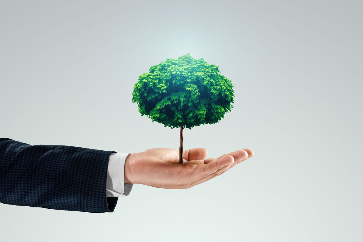 A green tree zöldellő fa grows növekedés from a man's hand. The concept of pénzügyi financial growth, passive income passzív bevétel, investments befektetés, dividends osztalék