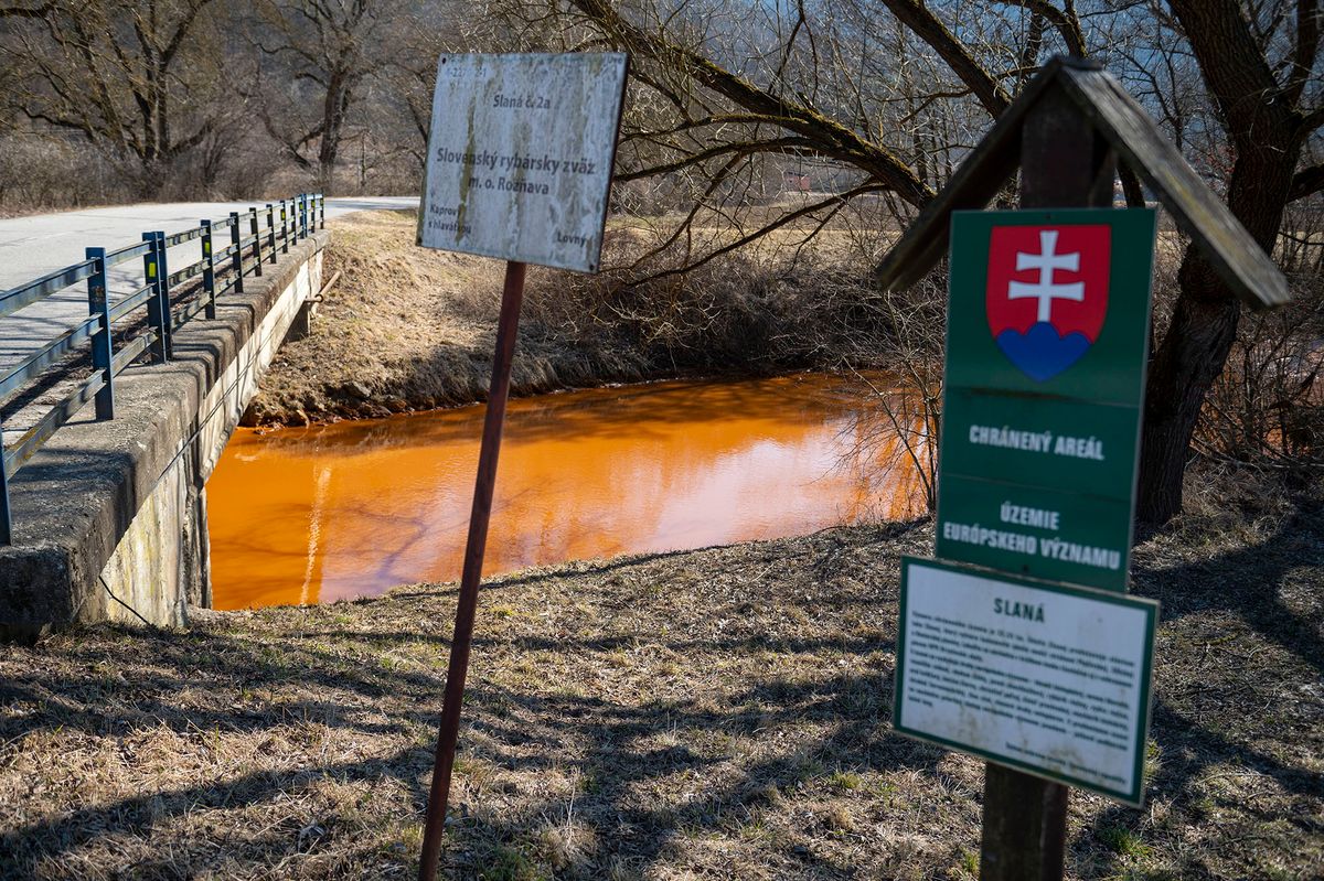 Szalóc, 2022. március 14.
A Sajó folyó elszíneződött vize az egykori vasércbánya közelében a felvidéki Szalóc (Slavec) közelében 2022. március 14-én. Az eddigi mérések nem igazolták, hogy a Sajó vize szennyezett lenne Magyarországon, de a vizsgálatok továbbra is tartanak - közölte ezen a napon az Országos Vízügyi Főigazgatóság (OVF) annak kapcsán, hogy sajtóhírek szerint valamilyen szennyezőanyag került a vízbe a folyó szlovákiai szakaszán. A Miskolcnál és Sajópüspökinél végzett mérések nem igazoltak szennyeződést a vízben; a folyó vizének Ph- és oldott oxigén vizsgálata szerint mindkét mérés eredménye határértéken belül van. A vizet fémekre is vizsgálják, ezek eredményére még várnak. A Miskolci Vízügyi Igazgatóság szakemberei a Sajó szlovákiai szakaszán is dolgoznak, és a folyón felfelé haladva is méréseket végeznek.
MTI/Komka Péter
