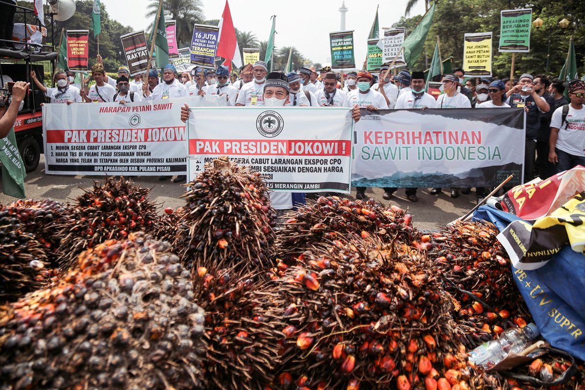 People from an Indonesian oil palm farmers' association carry palm fruits during a protest against the government's export ban policy, in Jakarta on May 17, 2022. (Photo by MARIANA / AFP)