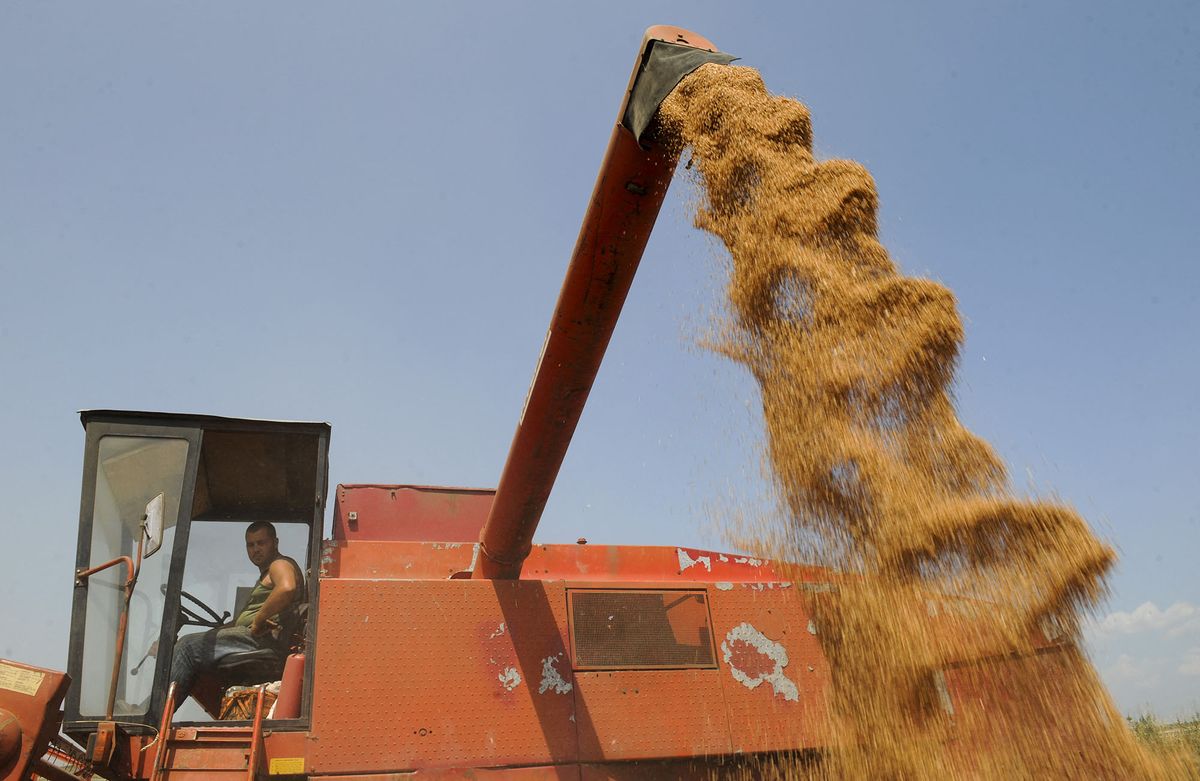 Kosovo Albanian farmers harvest a wheat field on July 14, 2011 near the town of Obilic.   AFP PHOTO / ARMEND NIMANI (Photo by ARMEND NIMANI / AFP)