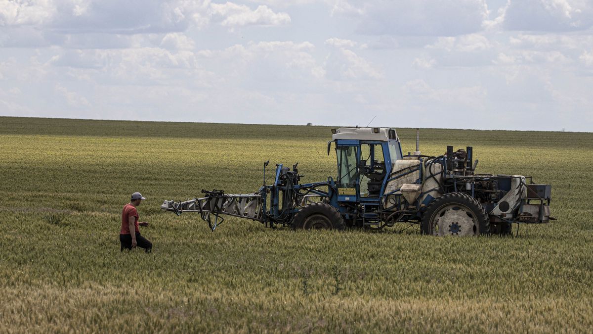 Wheat sales suffering amid war in Ukraine