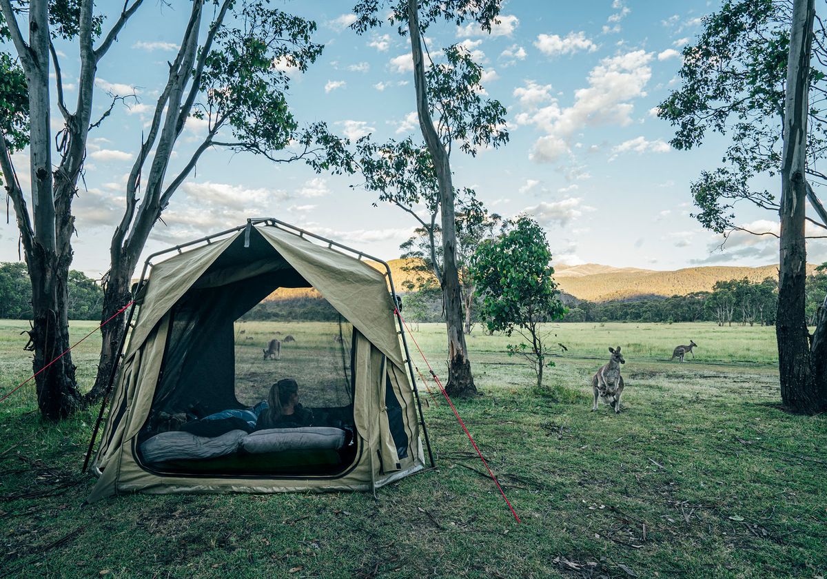 Kangaroo outside tent in remote Australian bush. (Photo by Anna Wiewiora/CAIA IMAGE/SCIENCE / NEW / Science Photo Library via AFP)