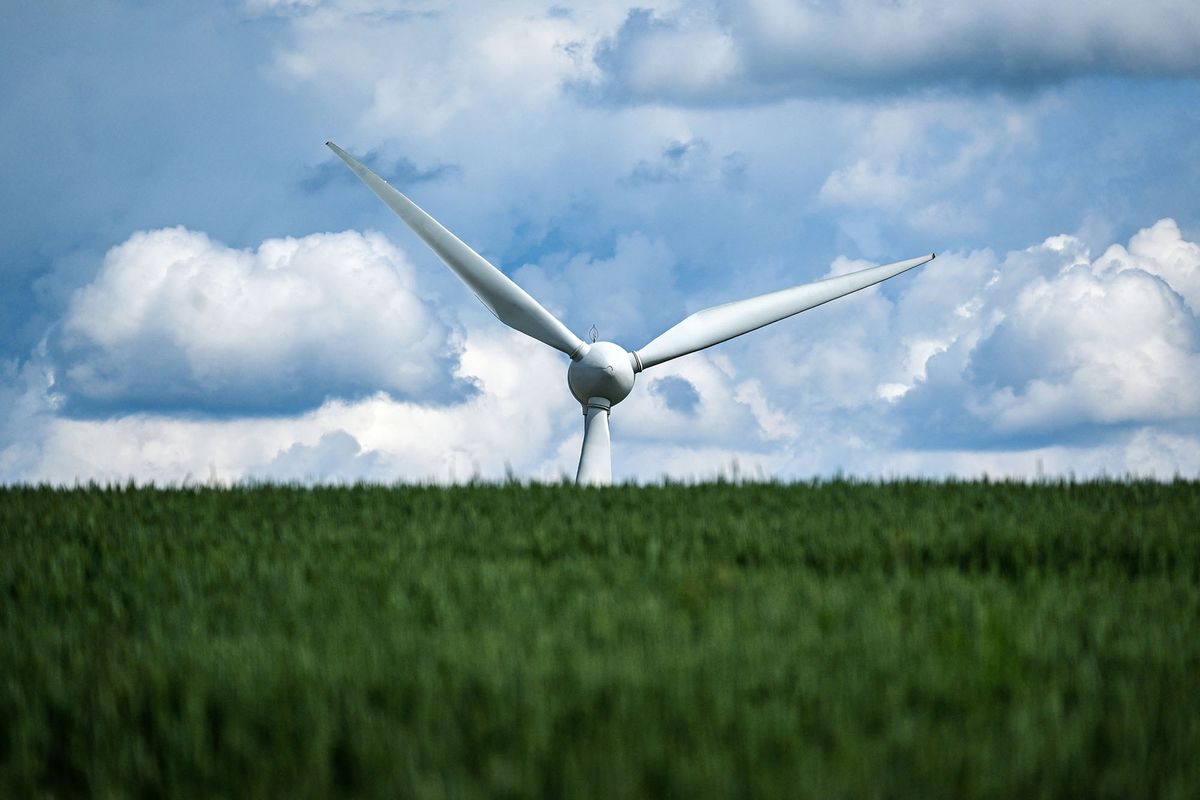 Wind turbines stand at a cornfield near the city of Warstein, western Germany, on June 8, 2022. (Photo by Ina FASSBENDER / AFP)