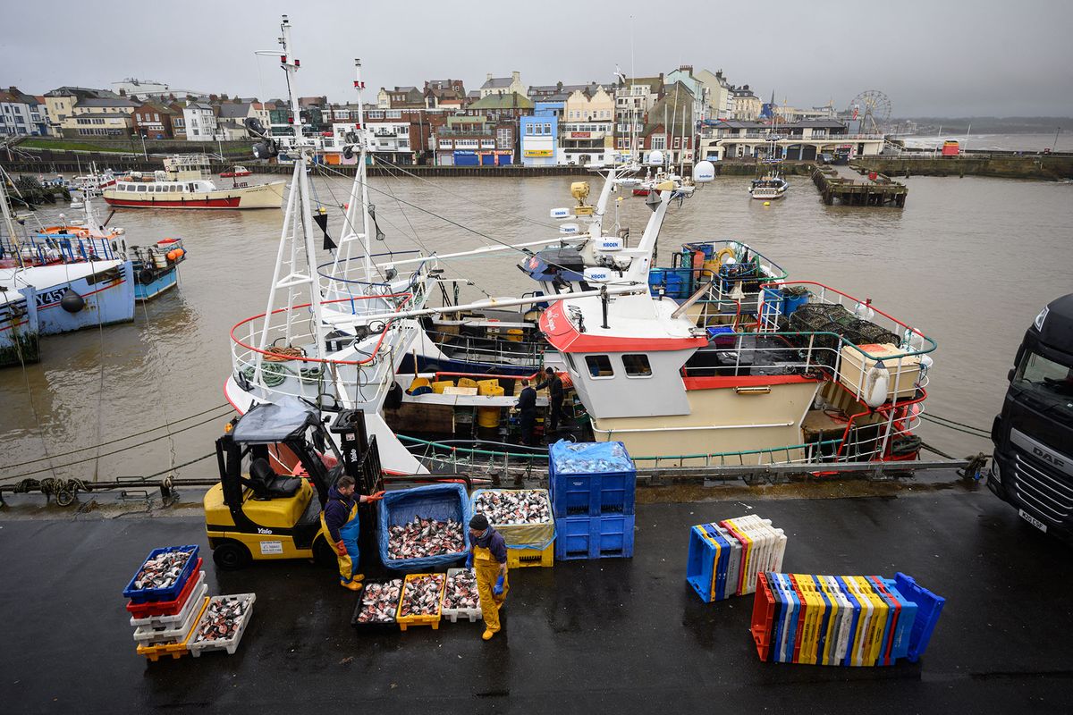 Fishermen sort and load trays of salmon heads to be used as bait for crab and lobster pots as they prepare for their next voyage to sea, on the South Pier of Bridlington Harbour fishing port in Bridlington, north east England on December 11, 2020. - A Brexit trade deal between Britain and the European Union looked to be hanging in the balance on Friday, after leaders on both sides of the Channel gave a gloomy assessment of progress in last-gasp talks. Trade talks between the UK and the EU continue in Brussels with EU members' future access to Britain's rich fishing waters remaining a major sticking point. (Photo by OLI SCARFF / AFP)