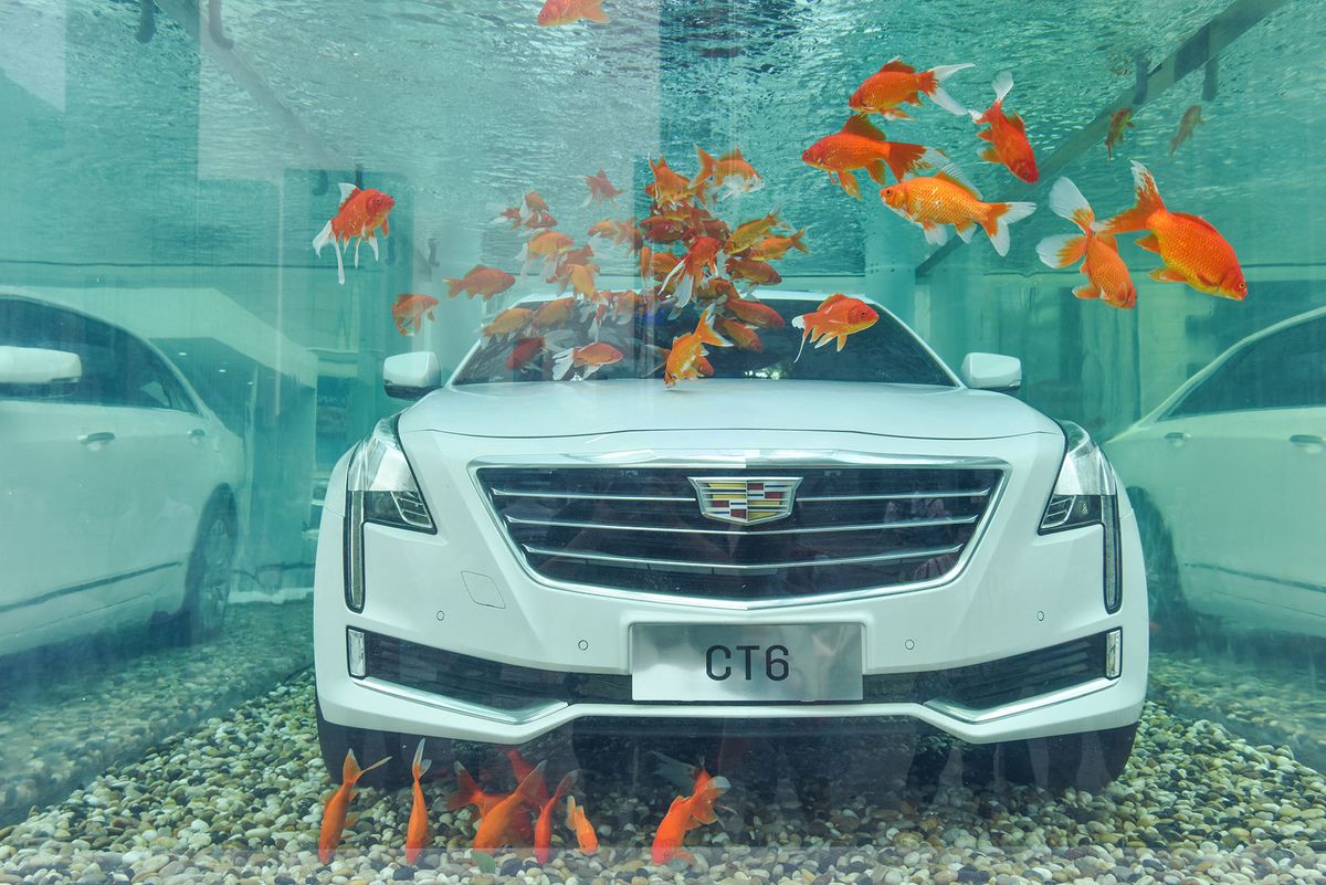 A Cadillac CT6 of SAIC-GM, a joint venture between SAIC Motor and General Motors, is submerged inside a fish tank in Chengdu city, southwest China's Sichuan province, 23 July 2017.Cadillac was attempting to tap an age old Chinese belief that gold fish bring good luck, many companies therefore have a large fish tank in their reception hall. It appears that Cadillac intents to tap on those feelings, saying in effect that a CT6 is good for business too. (Photo by Wang huan / Imaginechina / Imaginechina via AFP)
