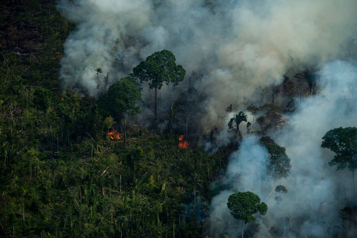 Aerial view showing smoke rising from an illegal fire at the Amazonia rainforest in Labrea, Amazonas state, Brazil, on September 15, 2021. - The Amazon, the world's biggest rainforest -- the so-called "lungs of the Earth," the "green ocean," the thing humanity is counting on to inhale our pollution and save us from the mess we've made of the planet -- is now emitting more carbon than it absorbs. (Photo by MAURO PIMENTEL / AFP)