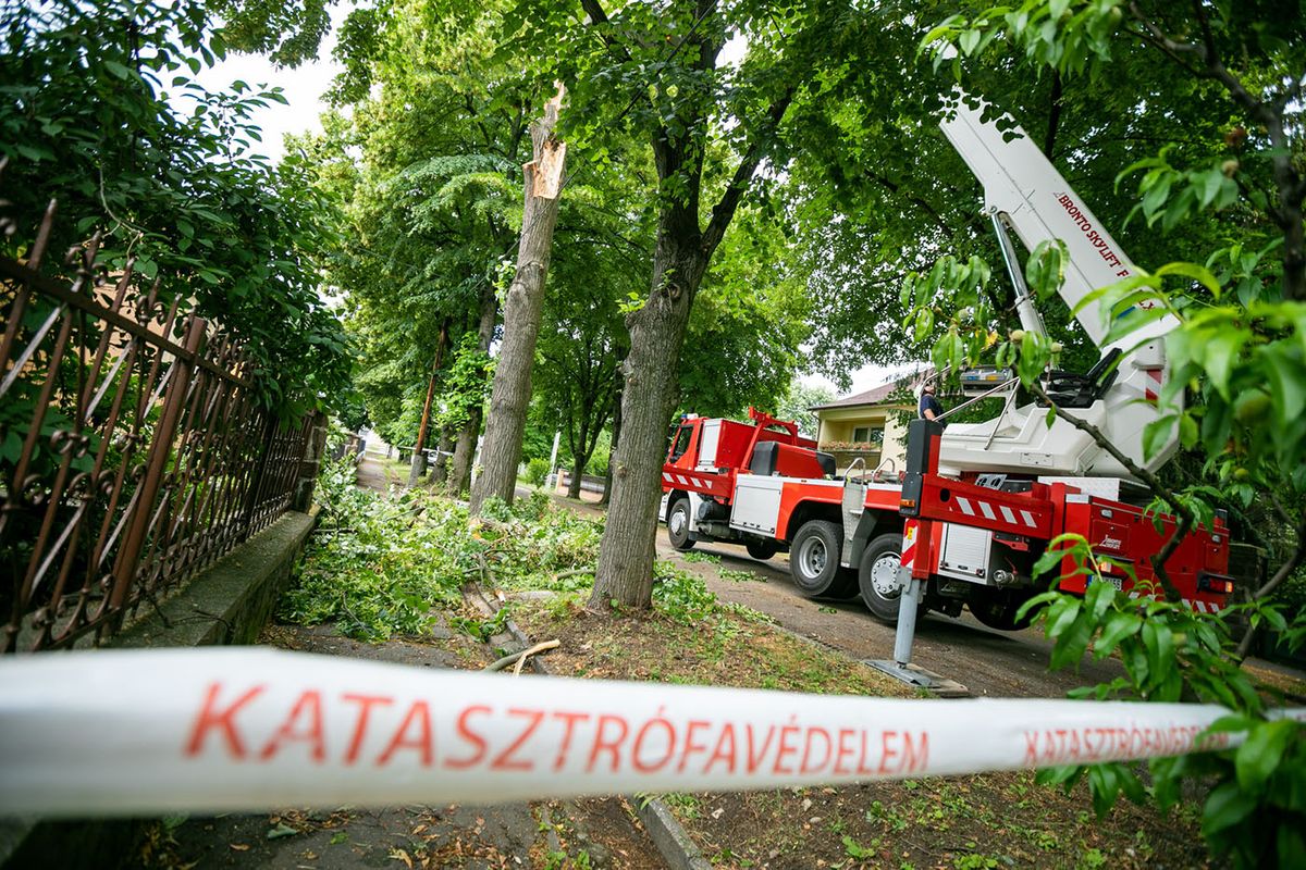 20220609 EgerA katasztrófavédelem munkatársai vágták ki a vihar után megsérült fákat.Fotó: Berán Dániel BD Heves Megyei Hírlap