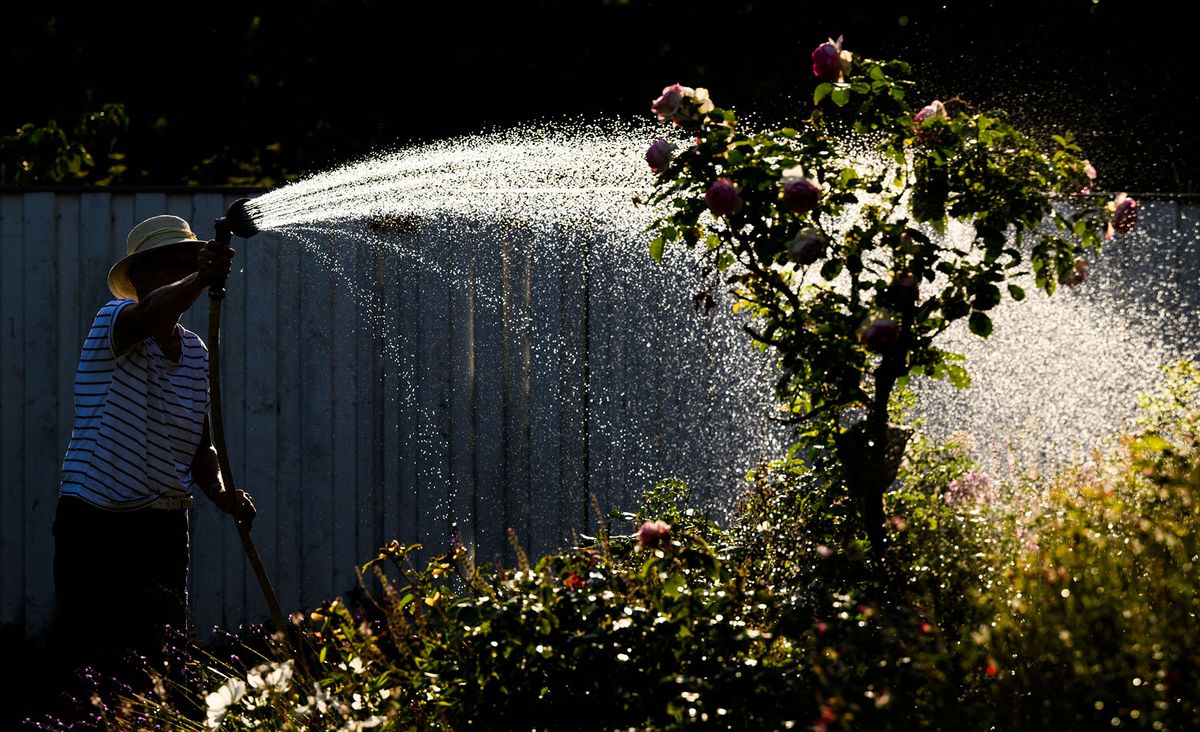 18 July 2022, Lower Saxony, Hanover: A woman waters a flower bed with water from a groundwater pump. A heat wave brings Germany temperatures up to 40 degrees this week. Photo: Julian Stratenschulte/dpa (Photo by JULIAN STRATENSCHULTE / DPA / dpa Picture-Alliance via AFP)