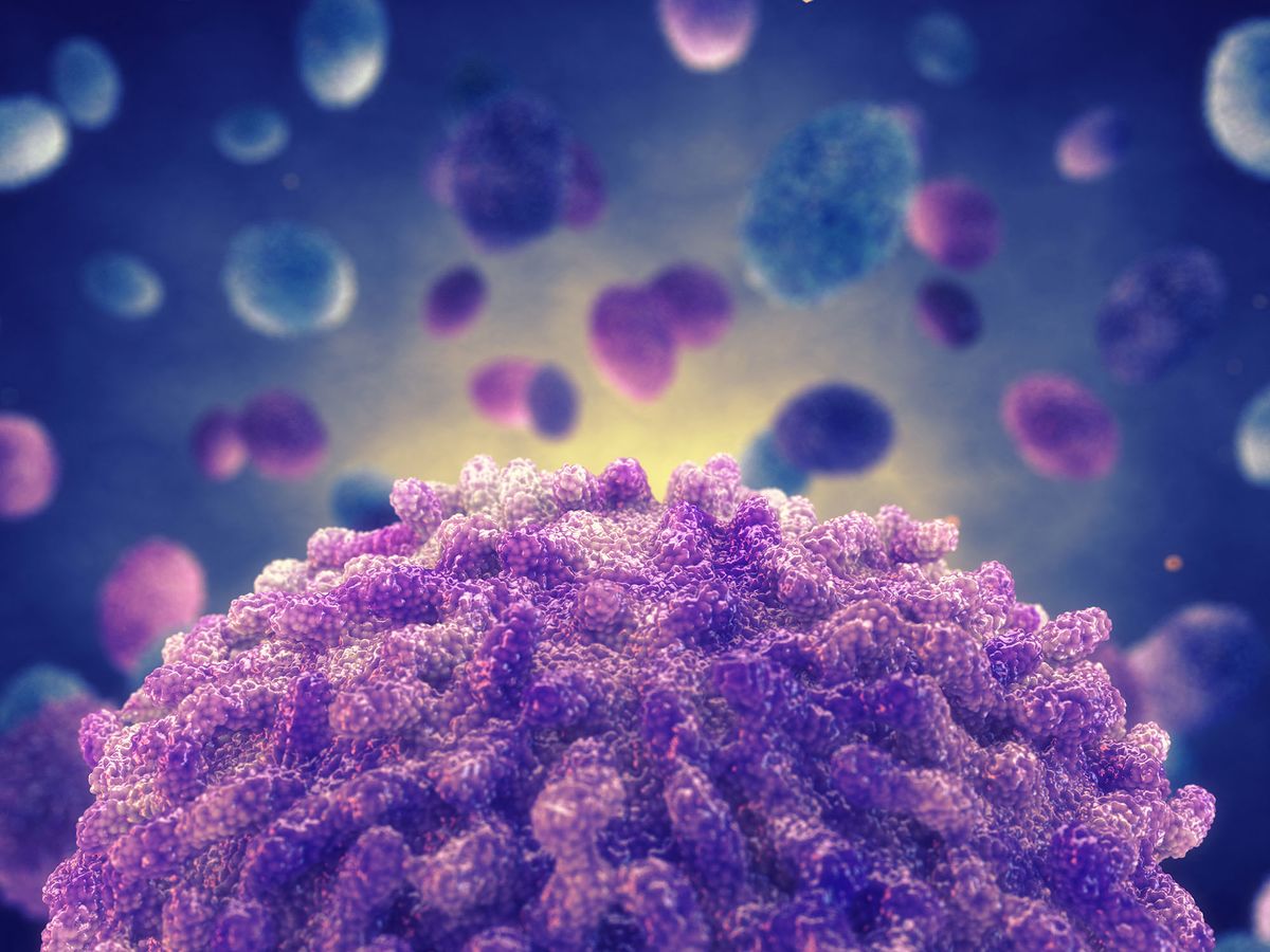 Monkeypox virus particles, illustration. Monkeypox is a zoonotic virus from the Poxviridae family that causes monkeypox, a pox-like disease. At the centre of the monkeypox virus is a core nucleoprotein that contains the DNA (deoxyribonucleic acid) genome. This is surrounded by an outer envelope that is covered with surface tubules. This virus, which is found near rainforests in Central and West Africa causes disease in humans and monkeys, although its natural hosts are rodents. It is capable of human to human transmission. In humans it causes fever, swollen glands and a rash of fluid-filled blisters. (Photo by NOBEASTSOFIERCE/SCIENCE PHOTO LI / DDJ / Science Photo Library via AFP)