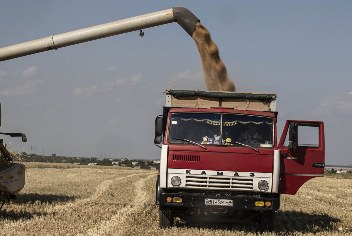 1241711956 ODESSA, UKRAINE - JULY 04: A farm implement harvests grain in the field, as Russian-Ukrainian war continues in Odessa, Ukraine on July 04, 2022. In the Odessa region, where the country's largest sea ports are located, 6 million tons of grain are kept in three ports for export due to the ongoing war and naval mines. Despite the fear of attack, people in villages along the battle lines in eastern Ukraine do not leave their wheat fields while the war between Russia and Ukraine continues. (Photo by Metin Aktas/Anadolu Agency via Getty Images)