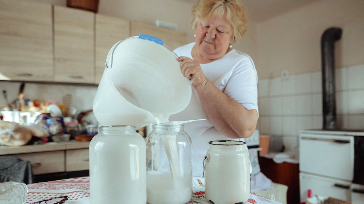 Nagy family producing local dairy products in Slovakia on World Milk Day TRAKANY, SLOVAKIA - JUNE 1: Eva Nagy pouring fresh milk into small glass jars on World Milk Day in Velke Trakany on June 01, 2022. Nagy family has been producing local dairy products such as fresh cow milk, butter and cheese.‚Äã Robert Nemeti / Anadolu Agency (Photo by Robert Nemeti / ANADOLU AGENCY / Anadolu Agency via AFP)