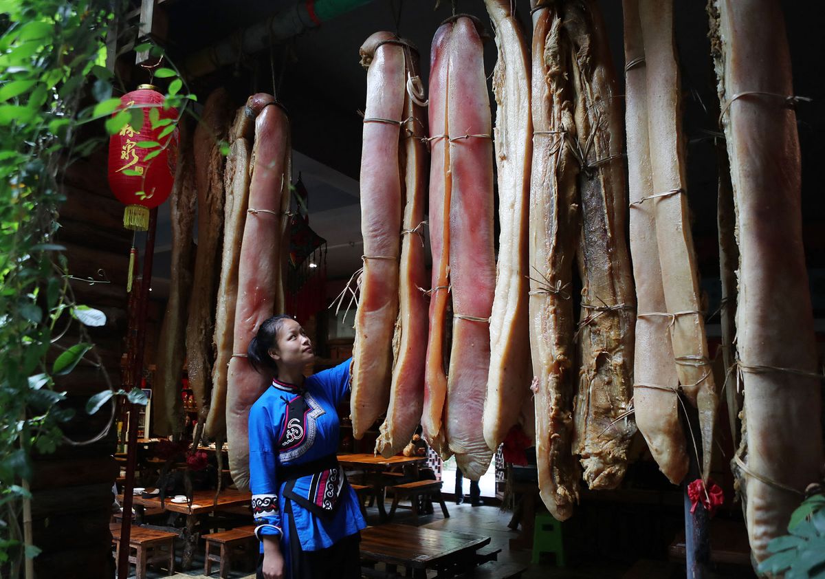A woman of Yi ethnical minority shows the two-meter-long preserved meats at a restaurant in Shilin Yizu Autonomous County in Kunming city, southwest China's Yunnan province, 11 July 2017. The two-meter-long preserved meats were honored as ''King of preserved meats'' at a restaurant in Shilin Yizu Autonomous County in Kunming city, southwest China's Yunnan province, 11 July 2017. Each bar of the two-meter-long preserved meats weights 40 to 50 kilograms. And to make this kind of preserved meats, raw material must be the local soil pigs feeded more than five years. (Photo by Yang zheng / Imaginechina / Imaginechina via AFP)