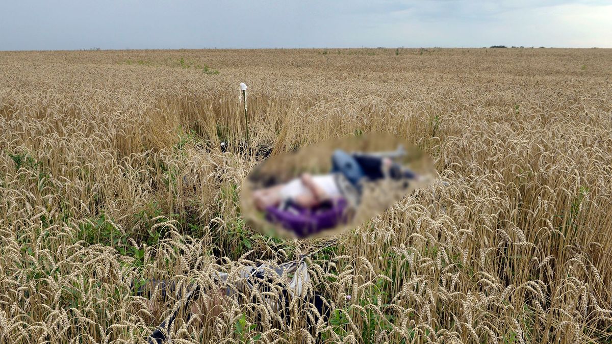 A body lies in a wheat field at the site of the crash of a Malaysia Airlines plane carrying 298 people from Amsterdam to Kuala Lumpur in Grabove, in rebel-held east Ukraine, on July 19, 2014. Ukraine and pro-Russian insurgents agreed on July 19 to set up a security zone around the crash site of a Malaysian jet whose downing in the rebel-held east has drawn global condemnation of the Kremlin. Outraged world leaders have demanded Russia's immediate cooperation in a prompt and independent probe into the shooting down on July 17 of flight MH17 with 298 people on board. AFP PHOTO/ ALEXANDER KHUDOTEPLY (Photo by Alexander KHUDOTEPLY / AFP)