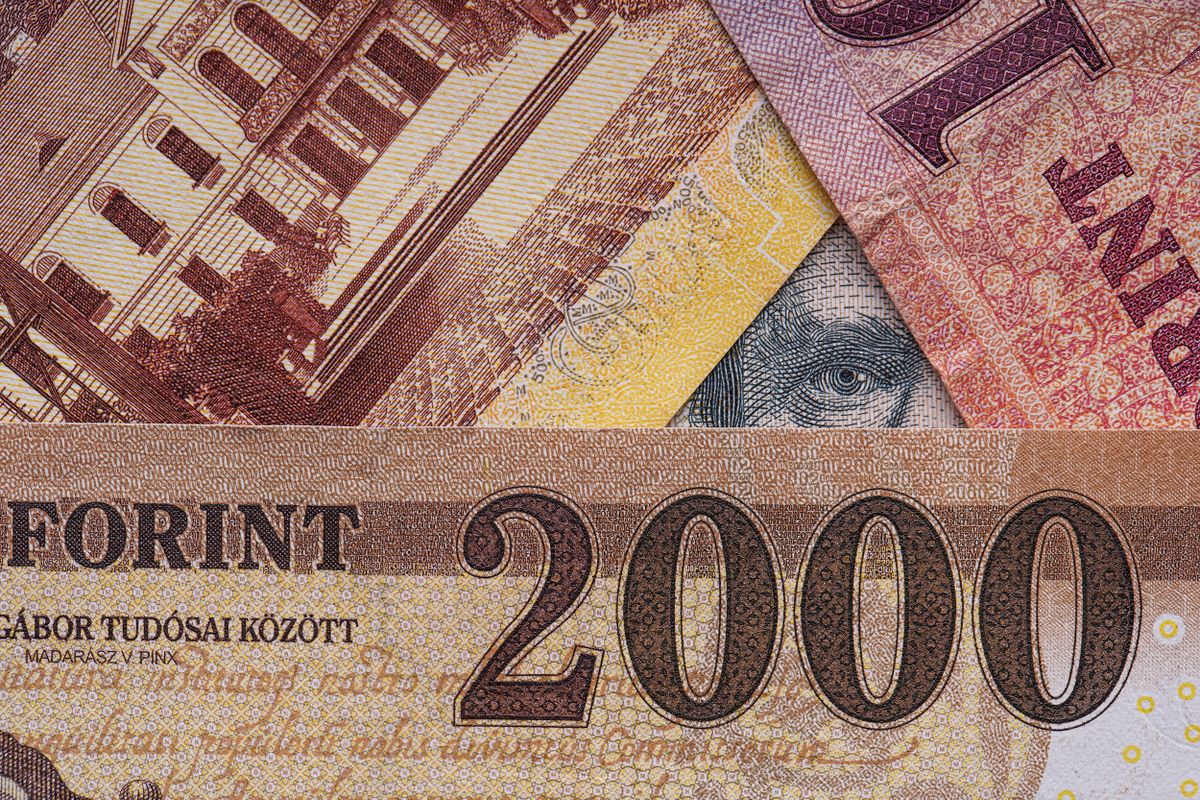 Close-up macro photo of Hungarian forint banknotes. The banknotes show small details. Bank image and photo.