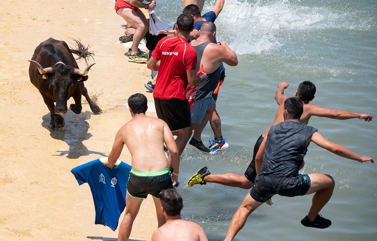 Participant jump in the water next to a bull during the traditional running of bulls "Bous a la mar" (Bull in the sea) at Denia's harbour near Alicante on July 14, 2022. (Photo by Jose Jordan / AFP)