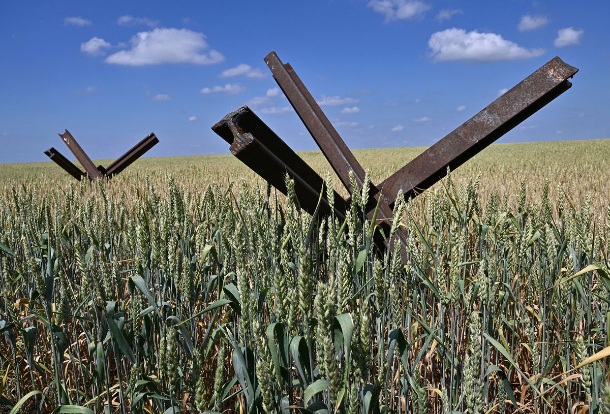 A photograph shows anti-tank obstacles on a wheat field at a farm in southern Ukraineís Mykolaiv region, on June 11, 2022, amid the Russian invasion of Ukraine. (Photo by Genya SAVILOV / AFP)