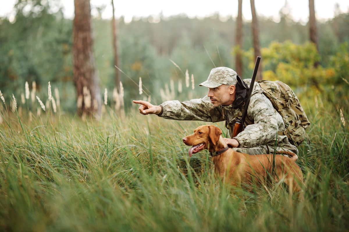 Hunter,With,Rifle,And,Dog,In,Forest