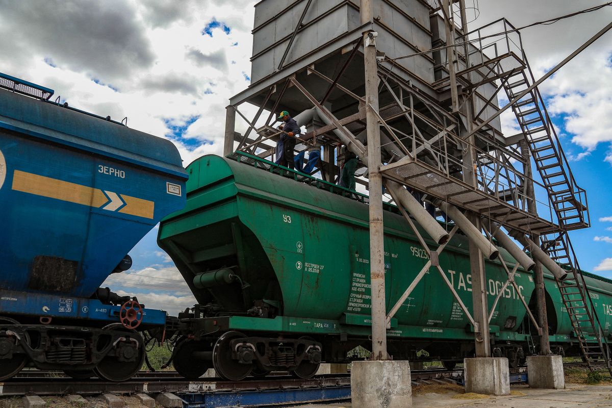 Processing and transporting grain in Odesa Region