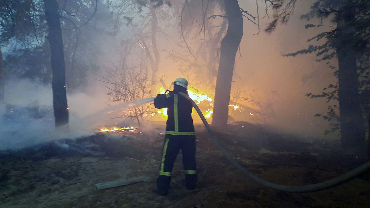 This handout picture taken and released by the Ukrainian Emergency Ministry press service on September 30, 2020 shows firefighters extinguishing a forest fire in Ukraine's Lugansk region. - Eight people were killed in forest fires in Ukraine's eastern Lugansk region, near the front line of the country's war with Moscow-backed separatists, authorities said on October 1. 120 people were evacuated from several villages and some 1,200 firemen were dispatched to fight the fire that broke out on September 30, the interior ministry said. (Photo by Handout / UKRAININ EMERGENCY MINISTRY / AFP)