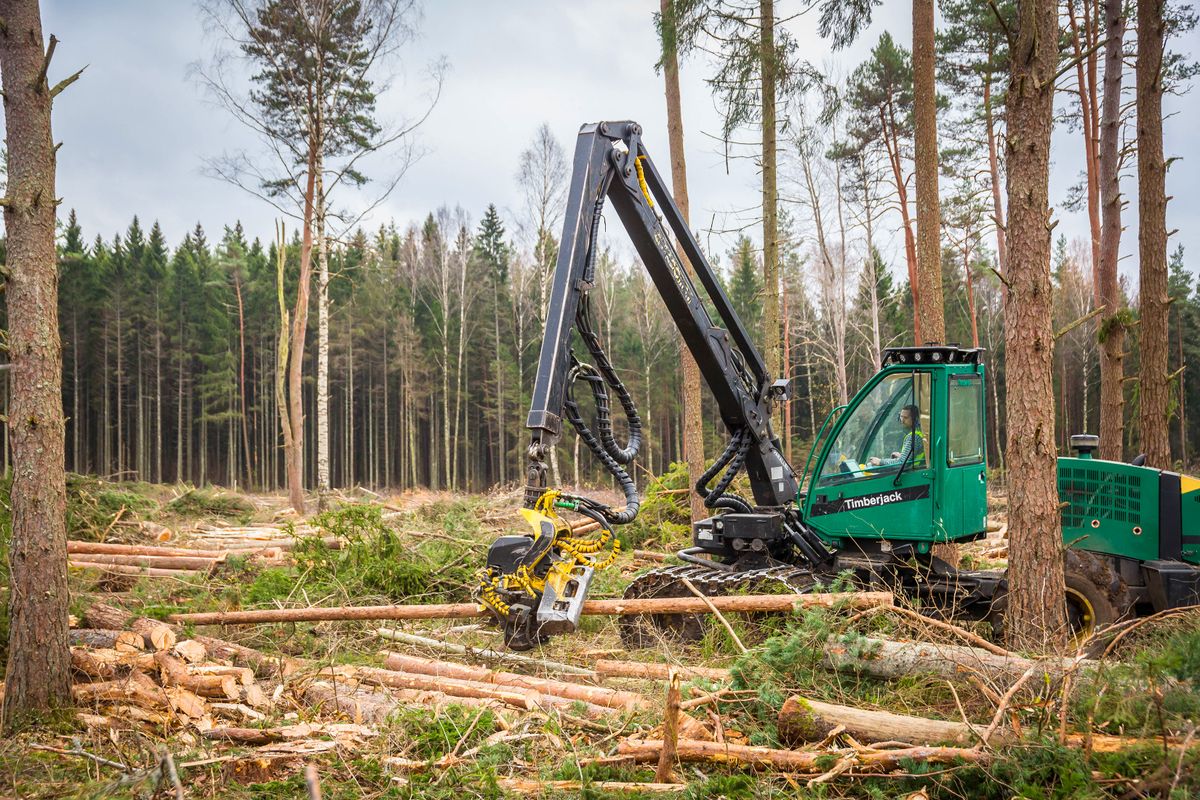 Estonia's wood pellet industry stokes controversy, Logging machinery grabs a trunk in a forest near Kernu in Harju county in northern Estonia on October 27, 2021. - Environmentalists warn that the wood pellet industry has caused an increase in forest logging, including in protected areas, but supporters of the sector say it is making efficient use of low-quality wood. (Photo by Ivo PANASYUK / AFP)