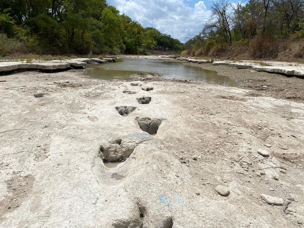 This handout image obtained on August 23, 2022 courtesy of the Dinosaur Valley State Park shows dinosaur tracks from around 113 million years ago, discovered in the Texas State Park after a severe drought conditions that dried up a river.