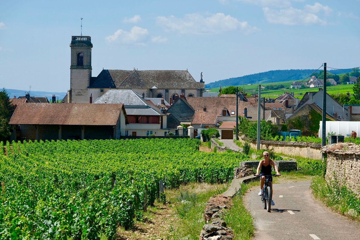 France, Cote d'Or, Burgundy climates listed as World Heritage by UNESCO, Route des Grands Crus, Cote de Beaune vineyard, Pommard, the vineyard (Photo by OLART Fabien / Hemis.fr / hemis.fr / Hemis via AFP)