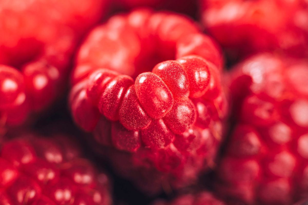 Fresh raspberries. (Photo by MICROGEN IMAGES/SCIENCE PHOTO LI / SMD / Science Photo Library via AFP)