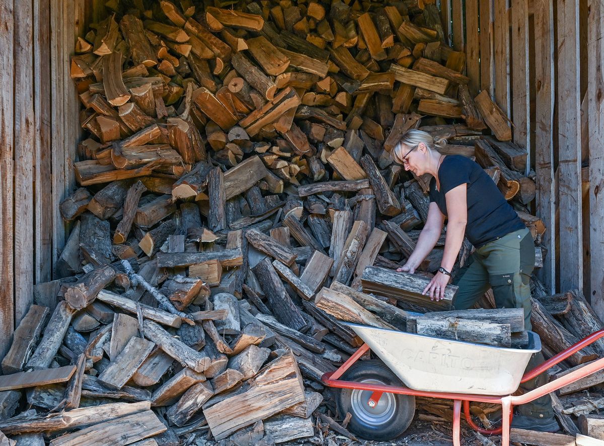 14 July 2022, Brandenburg, Sauen: Monique M¸ller, district forester from the August Bier Foundation, fetches firewood from a camp. The demand for firewood is currently attracting many people in Brandenburg to the forests. In Berlin, there has generally been a steady increase in demand for firewood over the past few years at the four forestry offices in the city, she says. Photo: Patrick Pleul/dpa (Photo by PATRICK PLEUL / DPA / dpa Picture-Alliance via AFP)