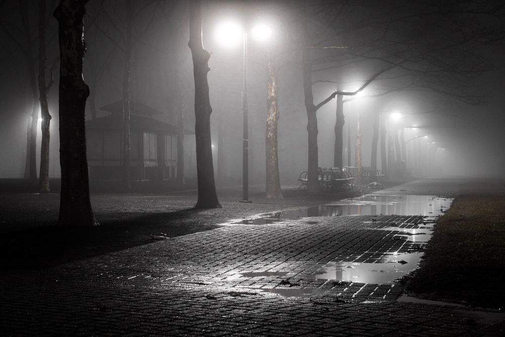 Trees,And,Street,Lamps,On,A,Quiet,Foggy,Night,Following, vihar