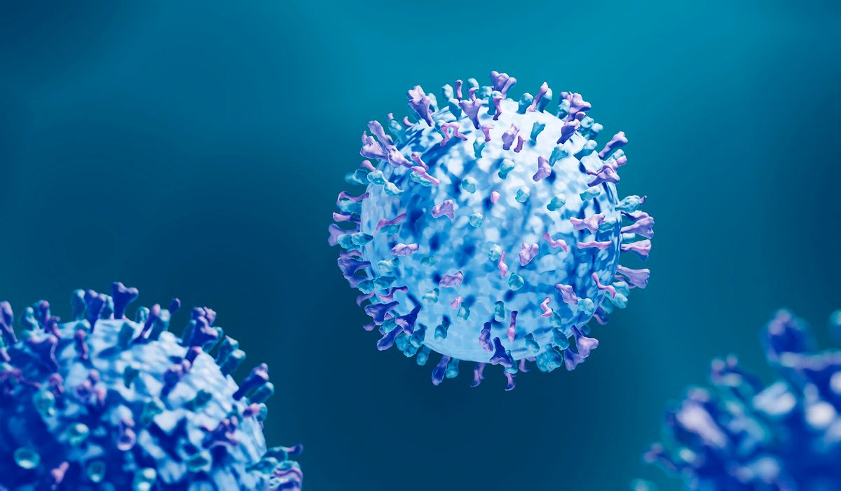 Illustration of respiratory syncytial viruses (RSV) causing respiratory infections. (Photo by ARTUR PLAWGO / SCIENCE PHOTO LIB / APL / Science Photo Library via AFP)