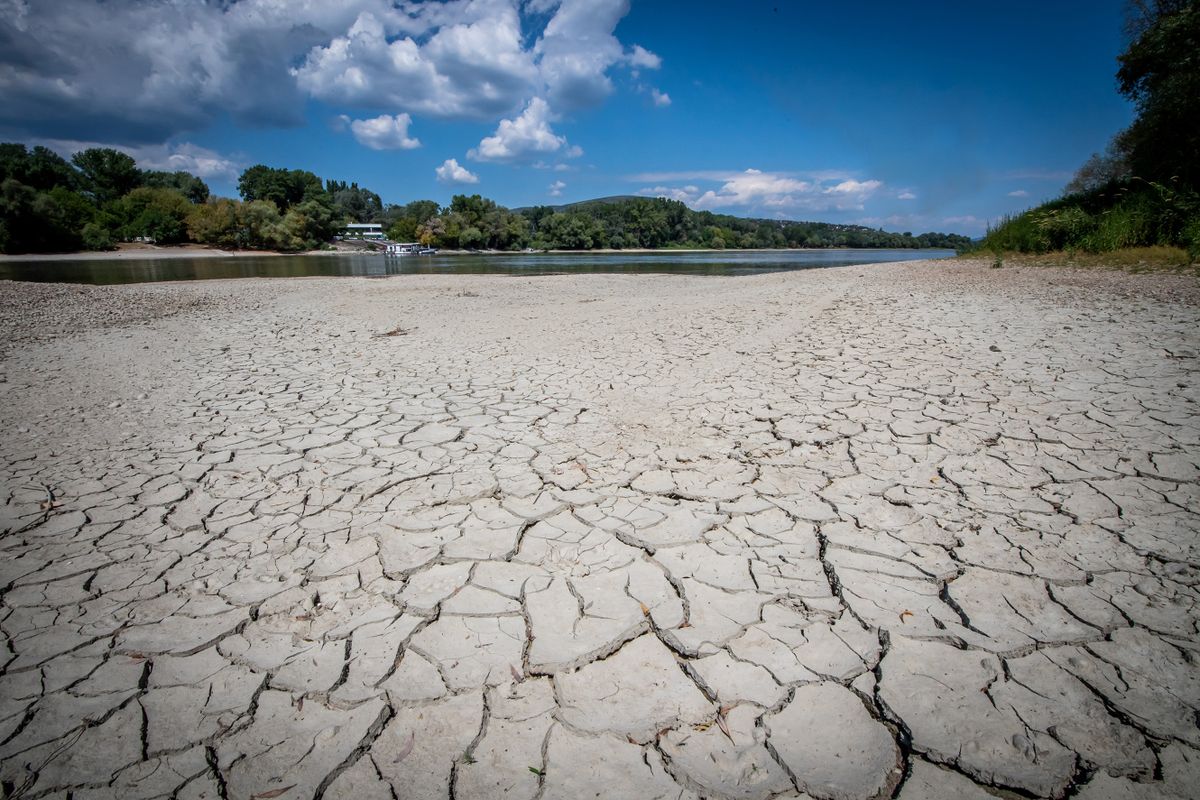 A photo taken on July 28, 2022 shows the partially dried-up river bank of the Danube river, which is at a low water level, at Szentendre, Hungary. - According to Hungarian authorities, the last seven months were the driest ever registered in Hungary since 1901. 
