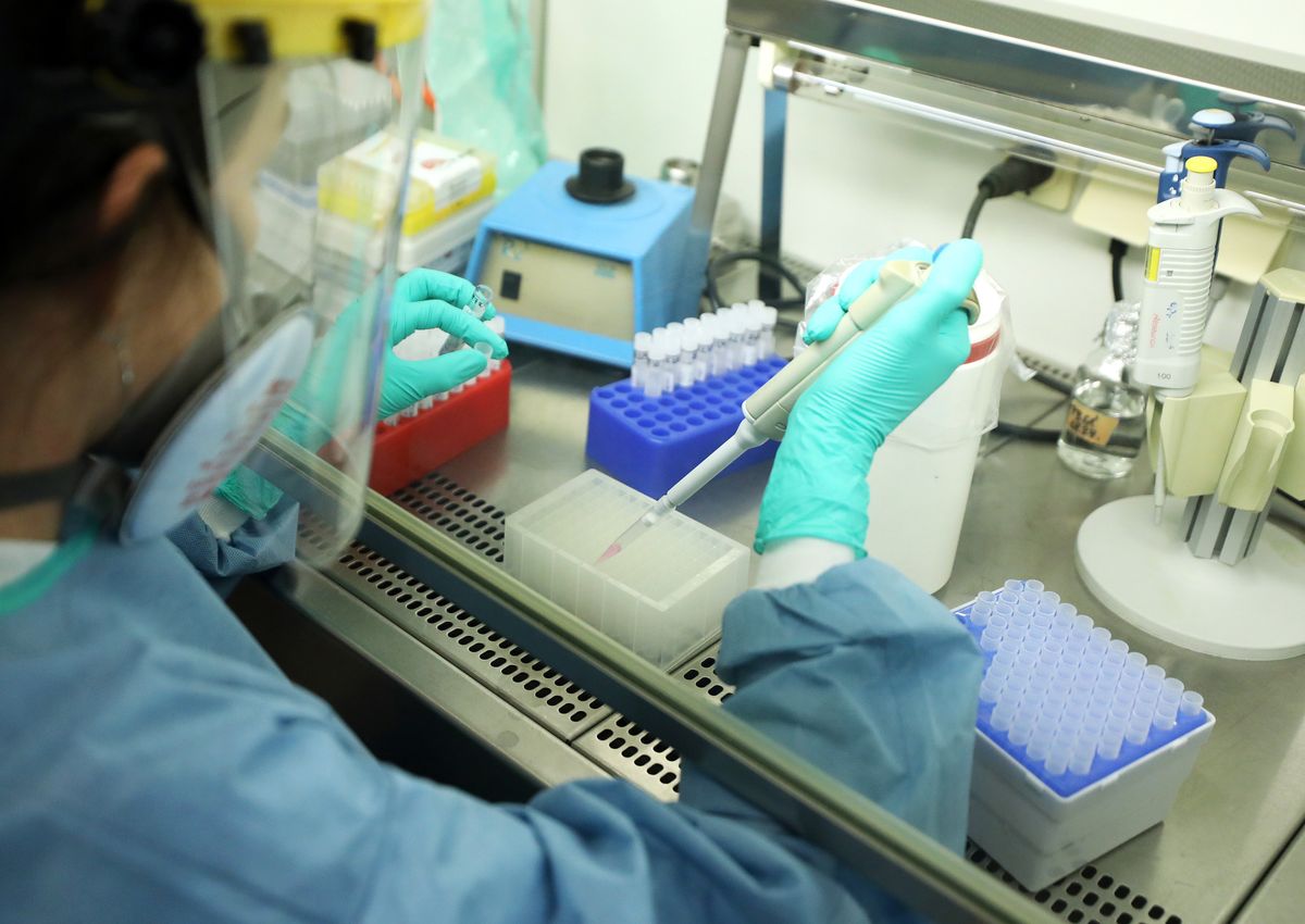 20200817 SzegedSZTE ÁOK Orvosi Mikrobiológiai és Immunbiológiai Intézet laborjában PCR-tesztek értékelése.Fotó: Frank Yvette FY Délmagyarország