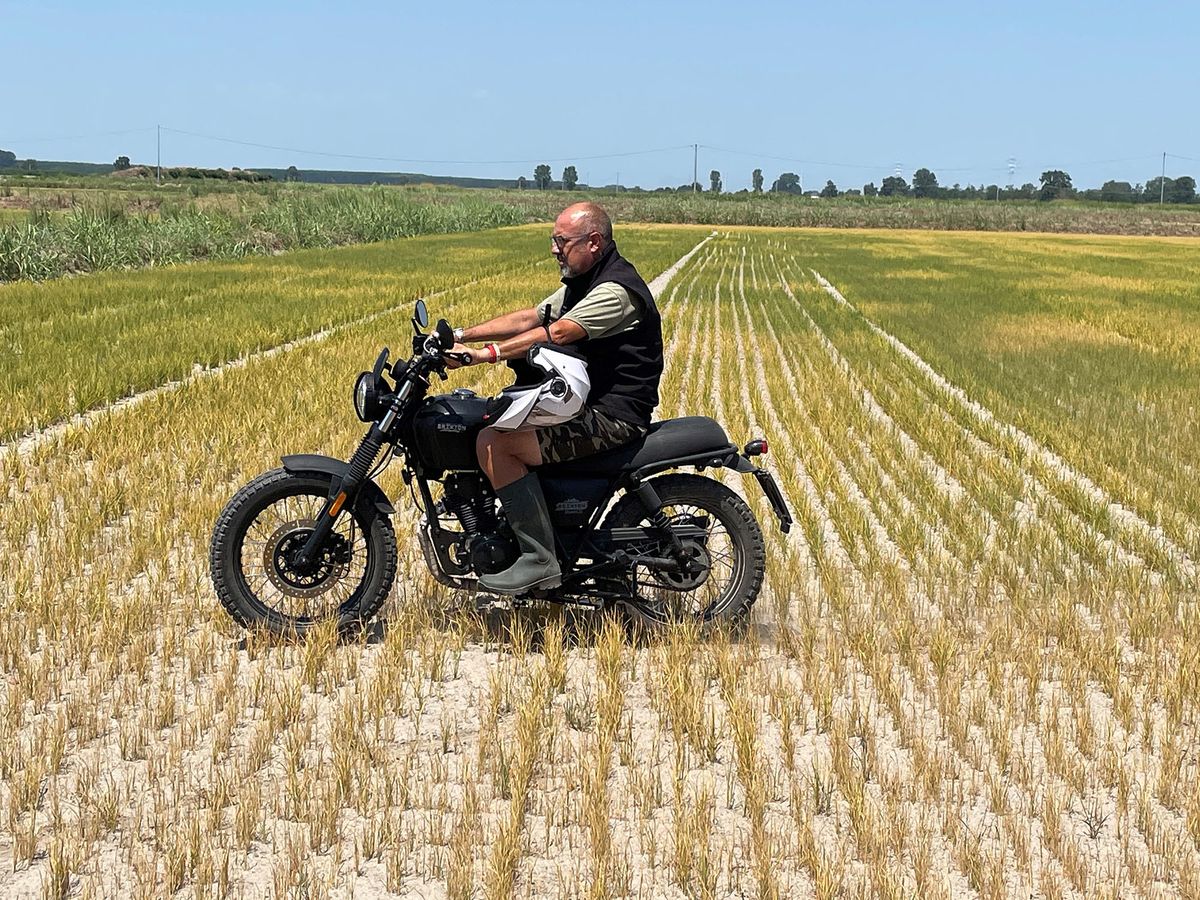 Dario Vicini the owner of the Stella farm crosses his rice field on motorcycle to see the extent of the damage caused by the drought, in Zeme, northern Italy, on July 18, 2022. - The "Stella" farm, located in the village of Zeme nestled in the Po plain 70 km south-west of Milan, is part of the "golden triangle" of Italian rice fields, which stretches from Pavia in Lombardy to Vercelli and Novara in Piedmont, the leading rice producing region in Europe. (Photo by Brigitte HAGEMANN / AFP)
