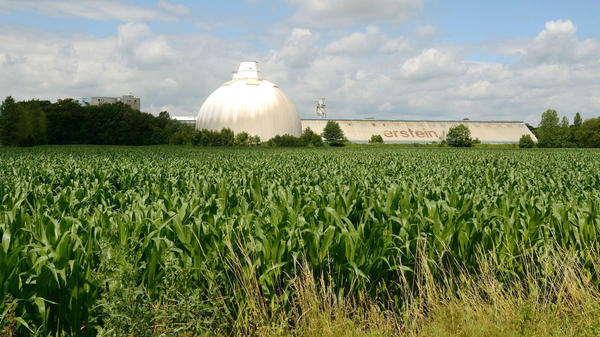 Sugar fabric of Erstein and Corn fields Alsace France .Biosphoto / Denis Bringard 