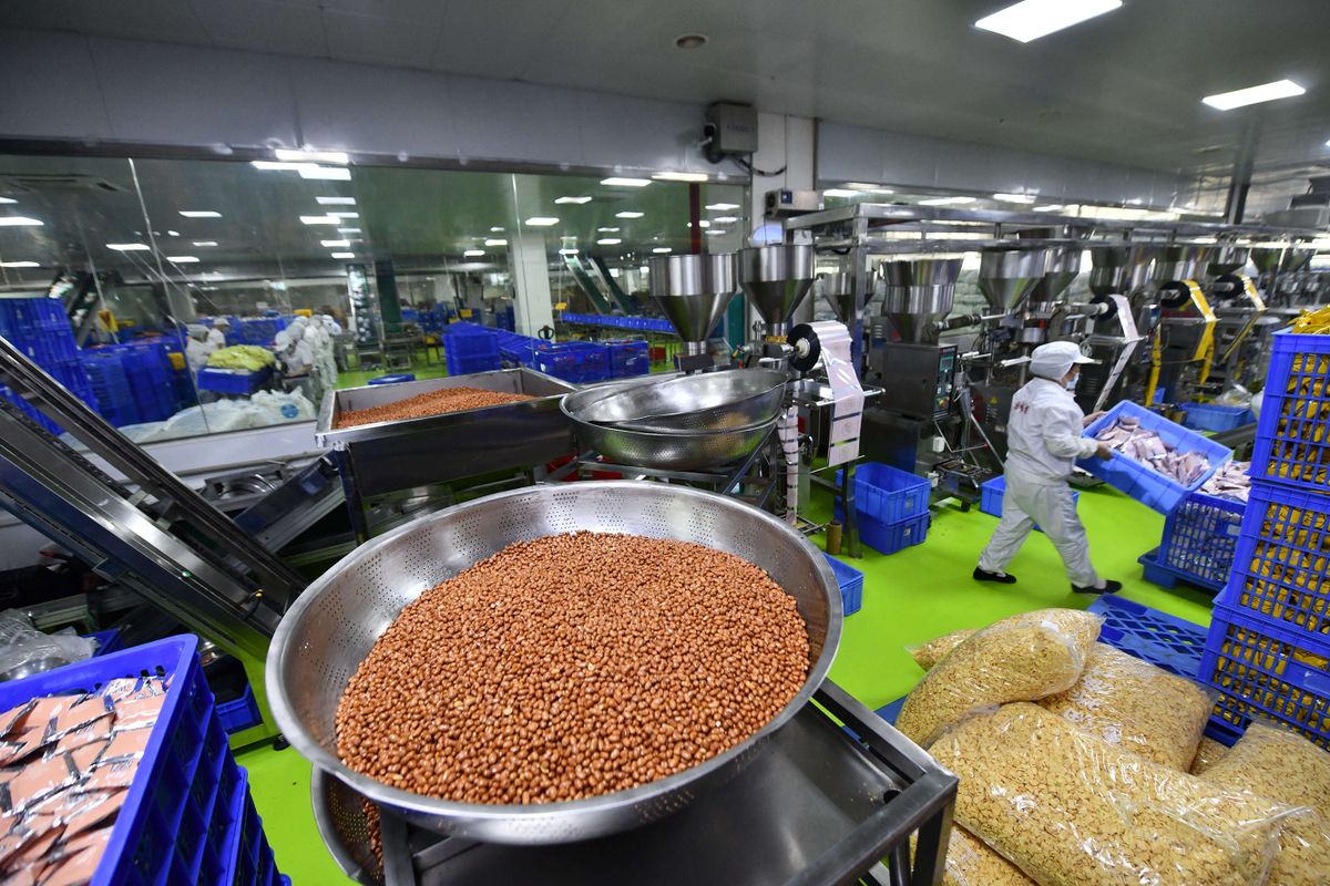 (211123) -- LIUZHOU, Nov. 23, 2021 (Xinhua) -- Workers work at a food-processing company in Liuzhou, south China's Guangxi Zhuang Autonomous Region, Nov. 23, 2021. Liuzhou Luosifen, a soup dish dubbed by some people as "durian of soup" for its strong smell, features rice vermicelli soaked in a spicy broth flavored by river snails and topped with ingredients including pickled bamboo shoots, string beans, peanuts and tofu skin.In the first three quarters of this year, bagged Liuzhou Luosifen achieved sales revenue of 11.223 billion yuan (about 1.75 billion U.S. dollars), a year-on-year increase of 45.7%. 