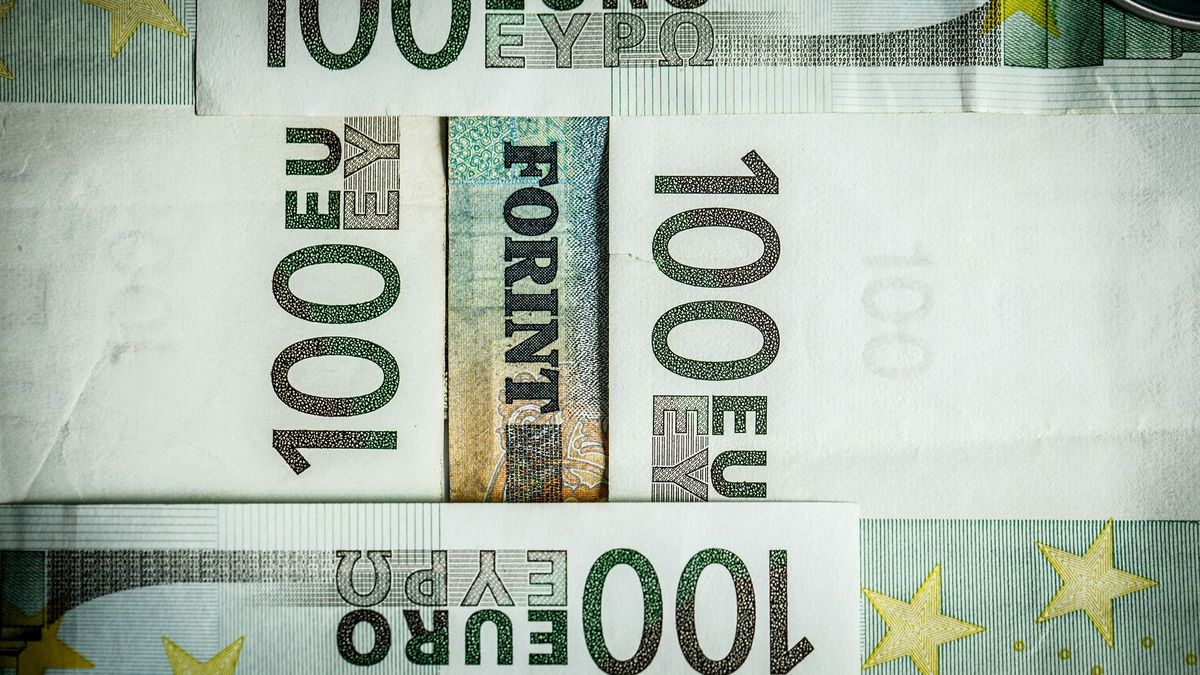 forint
euro