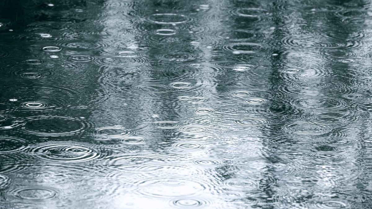 Reflection,Of,Tree,In,Water,Puddle,On,The,Sidewalk
eső, csapadék