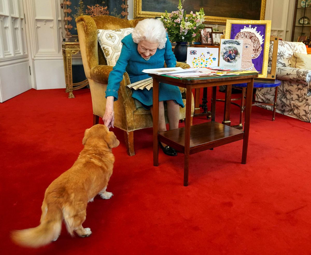 (FILES) In this file picture released in London on February 4, 2022, and taken last month, shows Britain's Queen Elizabeth II stroking Candy, her corgi dog, as she looks at a display of memorabilia from her Golden and Platinum Jubilees, in the Oak Room at Windsor Castle, west of London. - From Susan, received for her 18th birthday, to Fergus and Muick, acquired shortly before the death of her husband Philip, Elizabeth II owned around thirty corgis, small dogs that remain inseparable from her image. Elizabeth II, who died on September 8, 2022 at the age of 96, was a one-colour outfit, a pair of gloves, a black handbag... and a corgi trotting by her side. (Photo by / POOL / AFP)