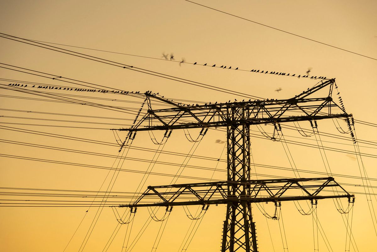 19 December 2020, Saxony-Anhalt, Wolmirstedt: Numerous birds sit on a power pole at dawn. Photo: Stephan Schulz/dpa-Zentralbild/ZB (Photo by Stephan Schulz / dpa-Zentralbild / dpa Picture-Alliance via AFP)