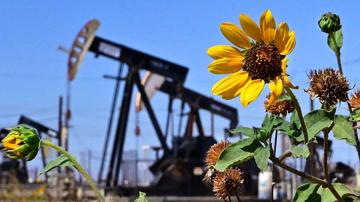 This picture taken on September 28, 2022 shows wildflowers growing near oil pumpjacks along a section of Highway 33 known as the Petroleum Highway north of McKittrick in Kern County, California. - President Joe Biden will announce Wednesday he's putting the final 15 million barrels on the market from a record release of US strategic oil reserves, with more releases possible if energy prices spike, a senior US official said. (Photo by Frederic J. BROWN / AFP)