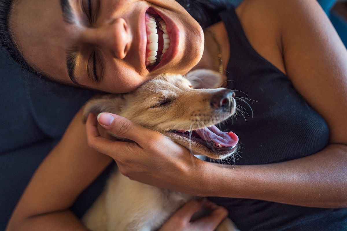 Beautiful young woman playing with a puppy Close up, a young woman and a puppy are having fun cuddling, pet-bum, kiskutya, puppy