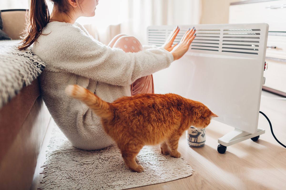 Using,Heater,At,Home,In,Winter.,Woman,Warming,Her,Hands Using heater at home in winter. Woman warming her hands with cat. Heating season. Using heater at home in winter. Woman warming her hands with cat. Heating season.
